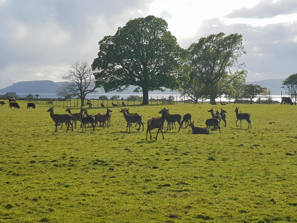 Applecross B&B Eksteriør bilde