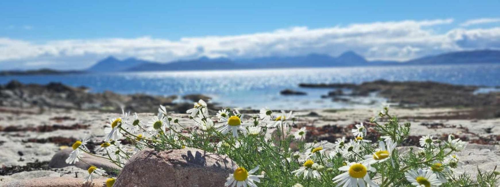Applecross B&B Eksteriør bilde